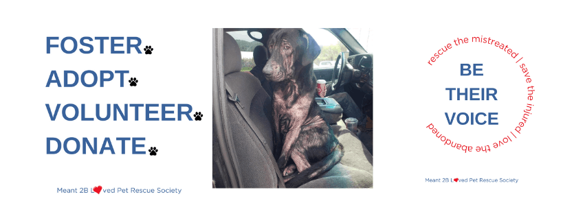 Meant 2B Loved Pet Rescue Society