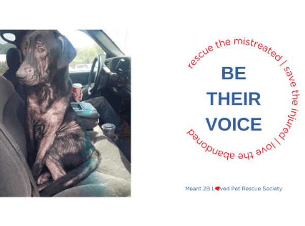 Meant 2B Loved Pet Rescue Society