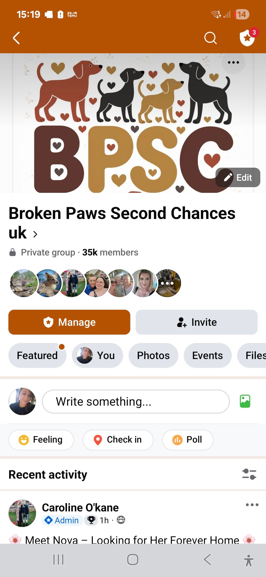 Broken paws second chances uk