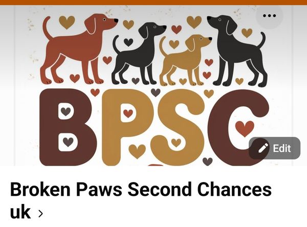 Broken paws second chances uk