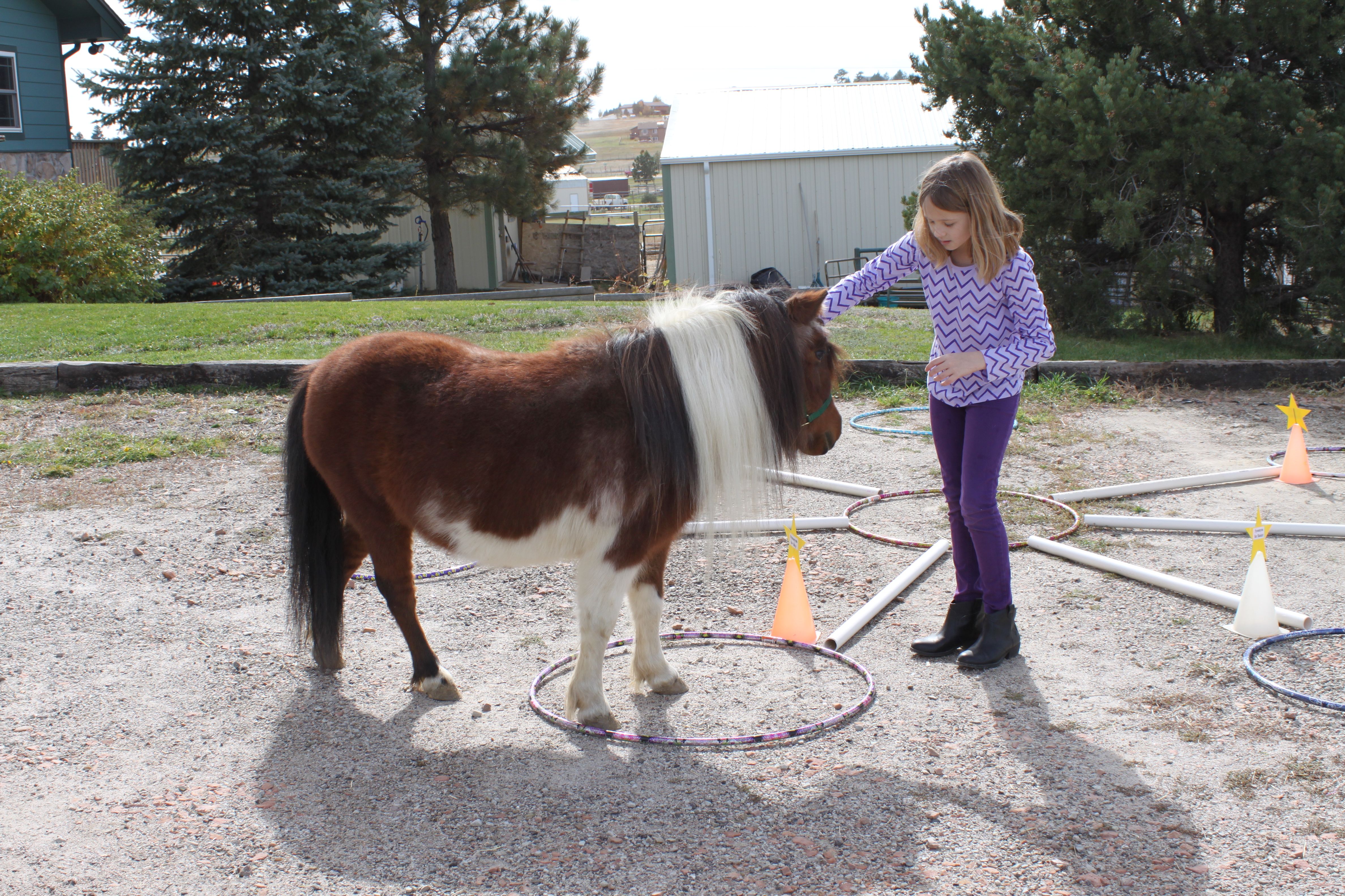 Equine Learning and Literacy Advocates 501c3