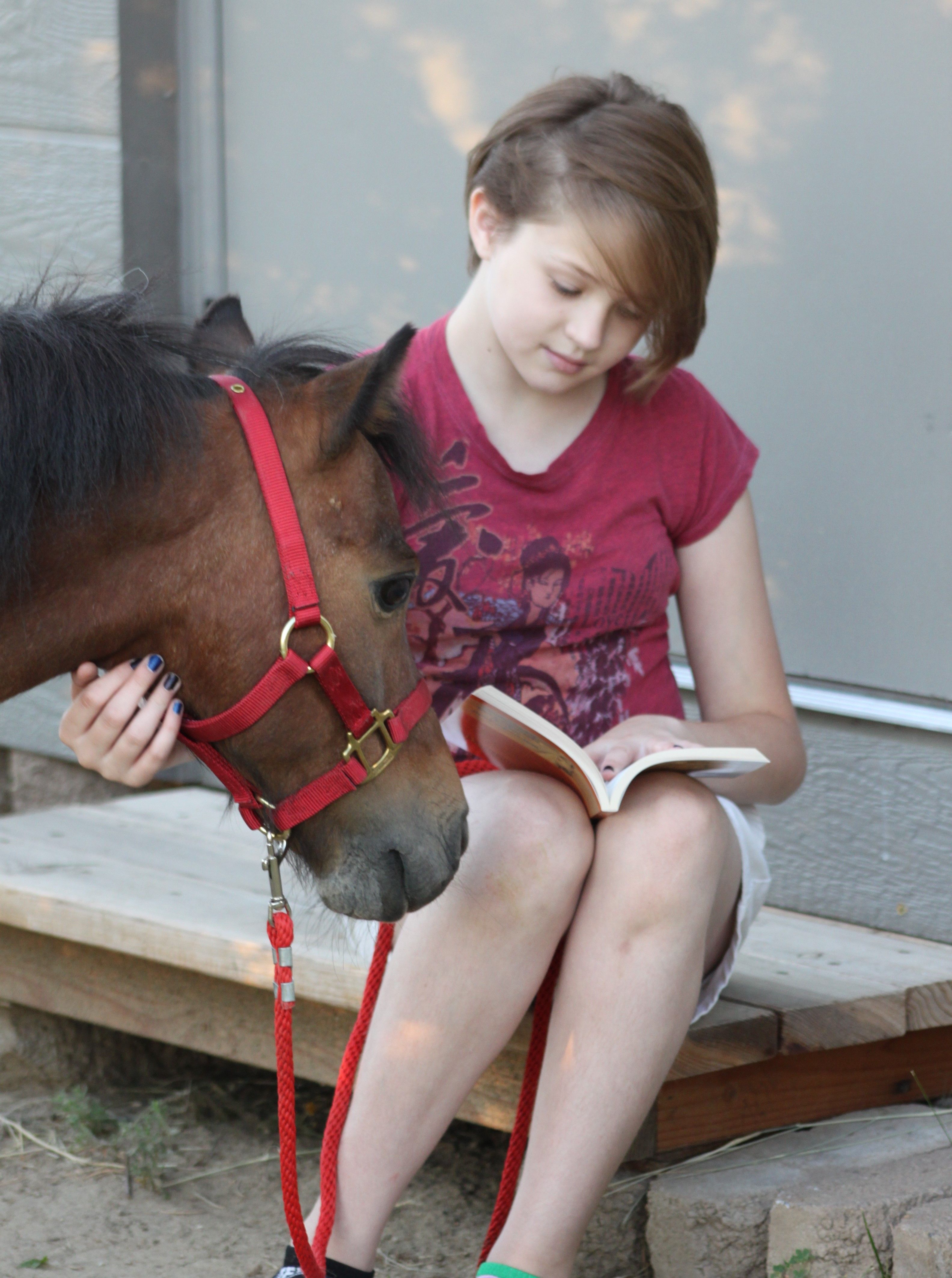 Equine Learning and Literacy Advocates 501c3