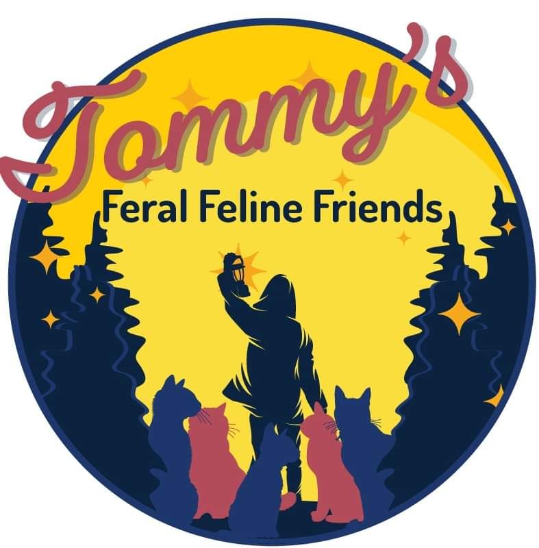 Tommy’s Feral Feline Friend’s