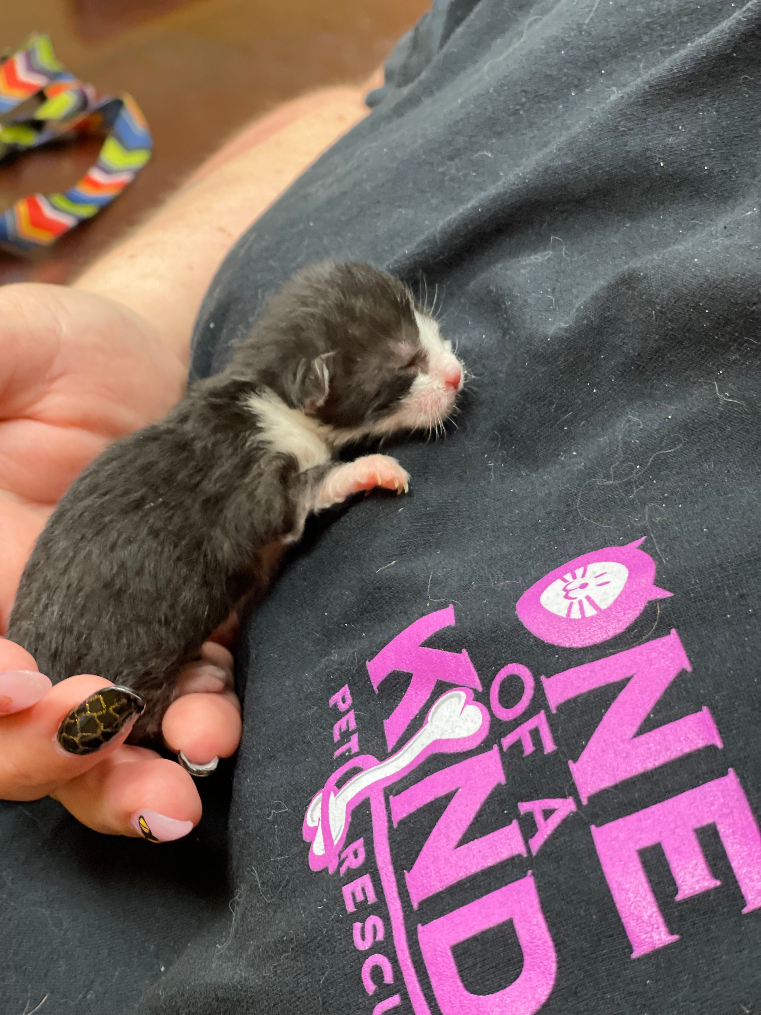 One of A Kind Pet Rescue and Spay & Neuter Clinic, Inc.