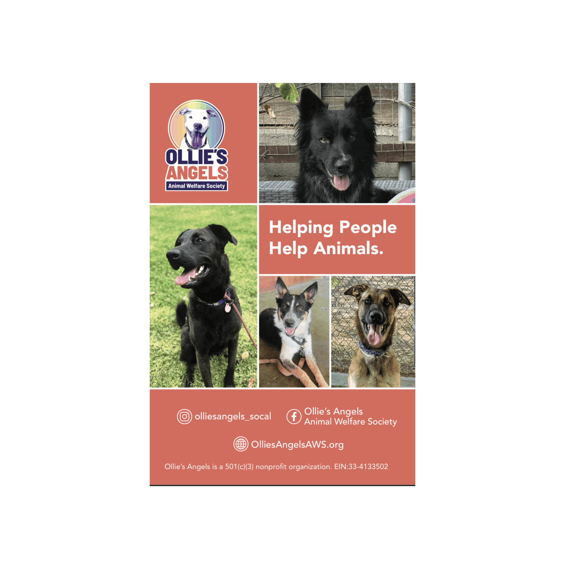 Ollie’s Angels Animal Welfare Society