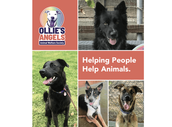 Ollie’s Angels Animal Welfare Society