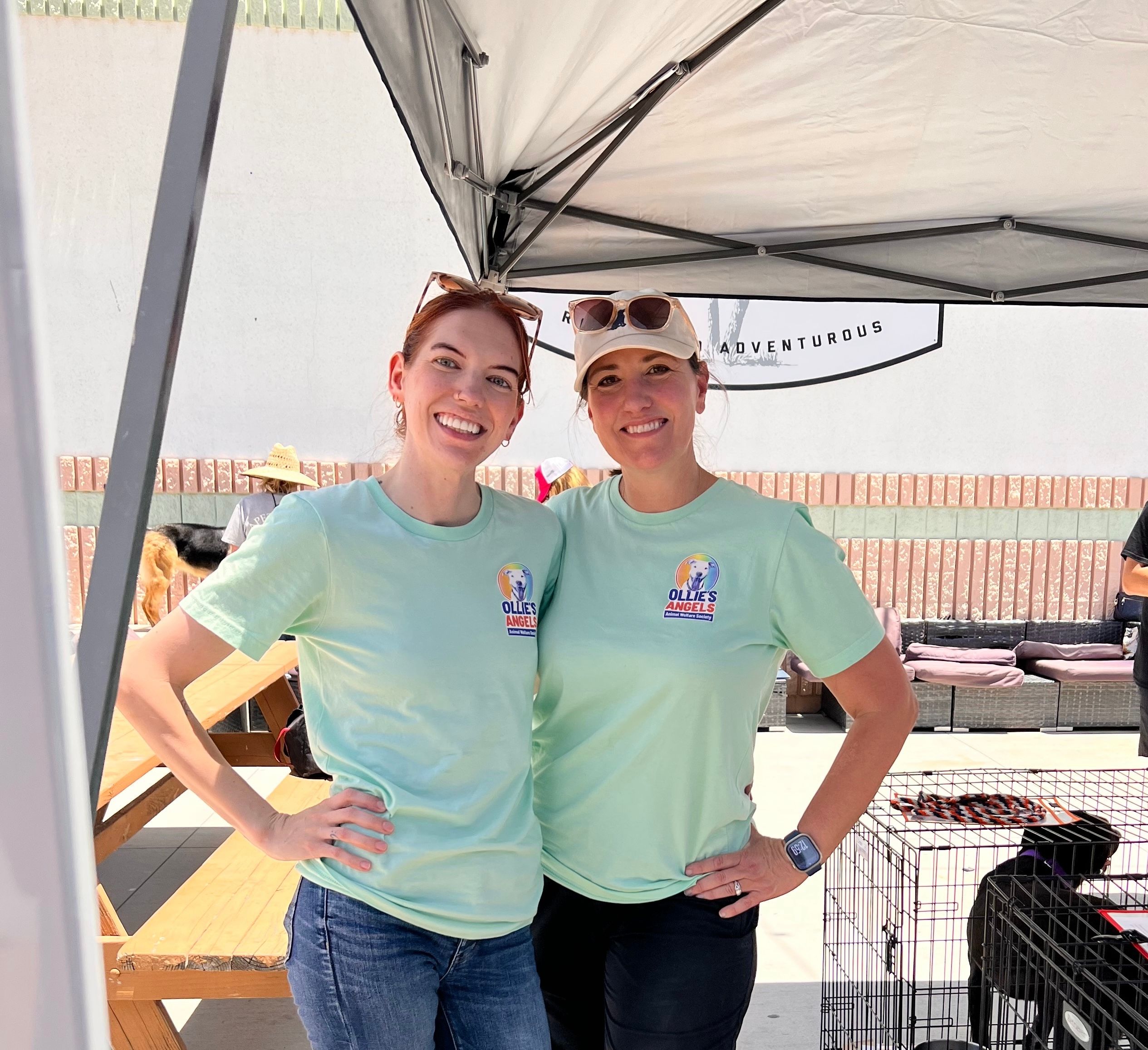 Ollie’s Angels Animal Welfare Society