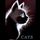 Cats Rescue Gloucestershire
