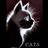 Cats Rescue Gloucestershire
