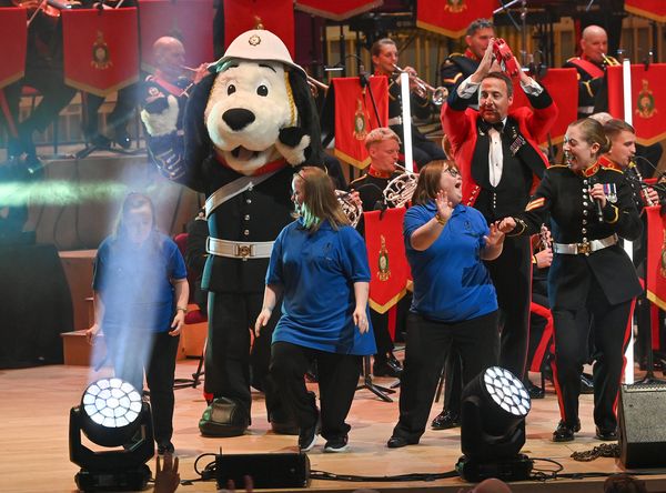 The Music Man Project