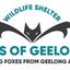 Bats of Geelong Wildlife Shelter Inc