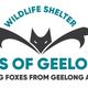 Bats of Geelong Wildlife Shelter Inc