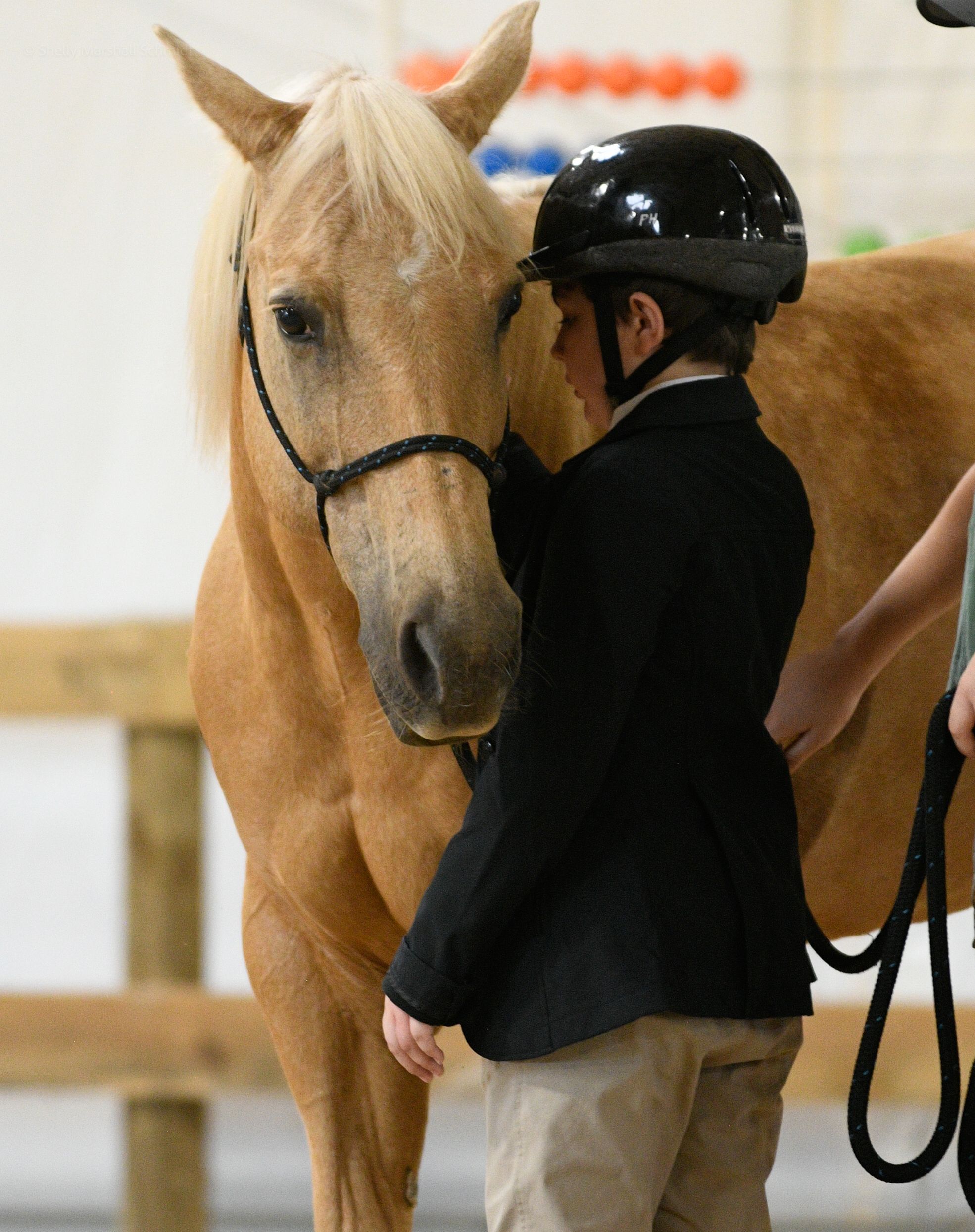 Great Oak Equine Assisted Programs