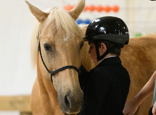 Great Oak Equine Assisted Programs