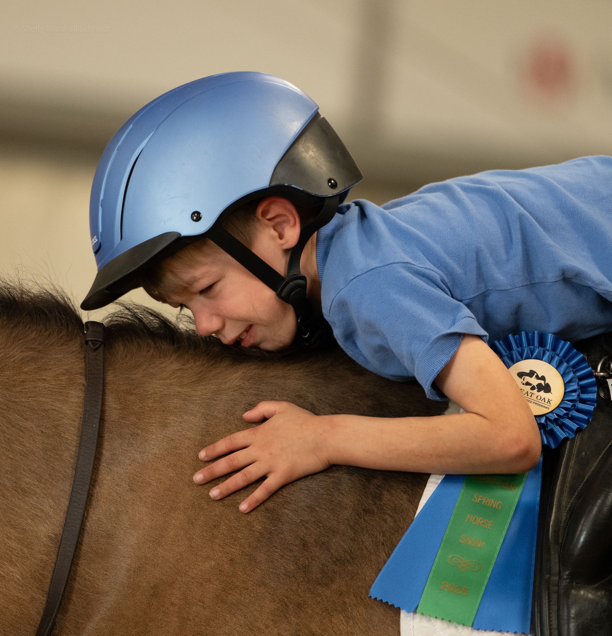 Great Oak Equine Assisted Programs