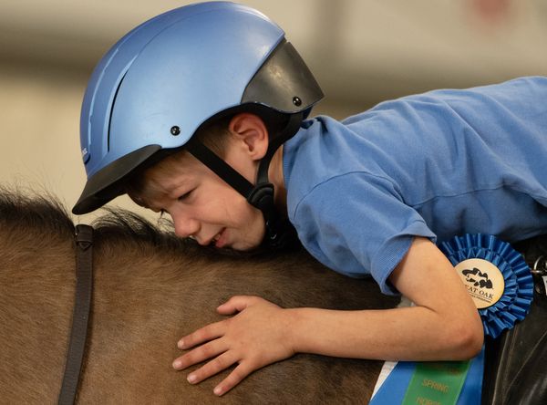 Great Oak Equine Assisted Programs