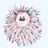 Ryston Rachel’s Hedgehog Hotel