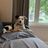 New Start Dog Rescue of IL Corp