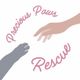 Precious Paws Cat Rescue