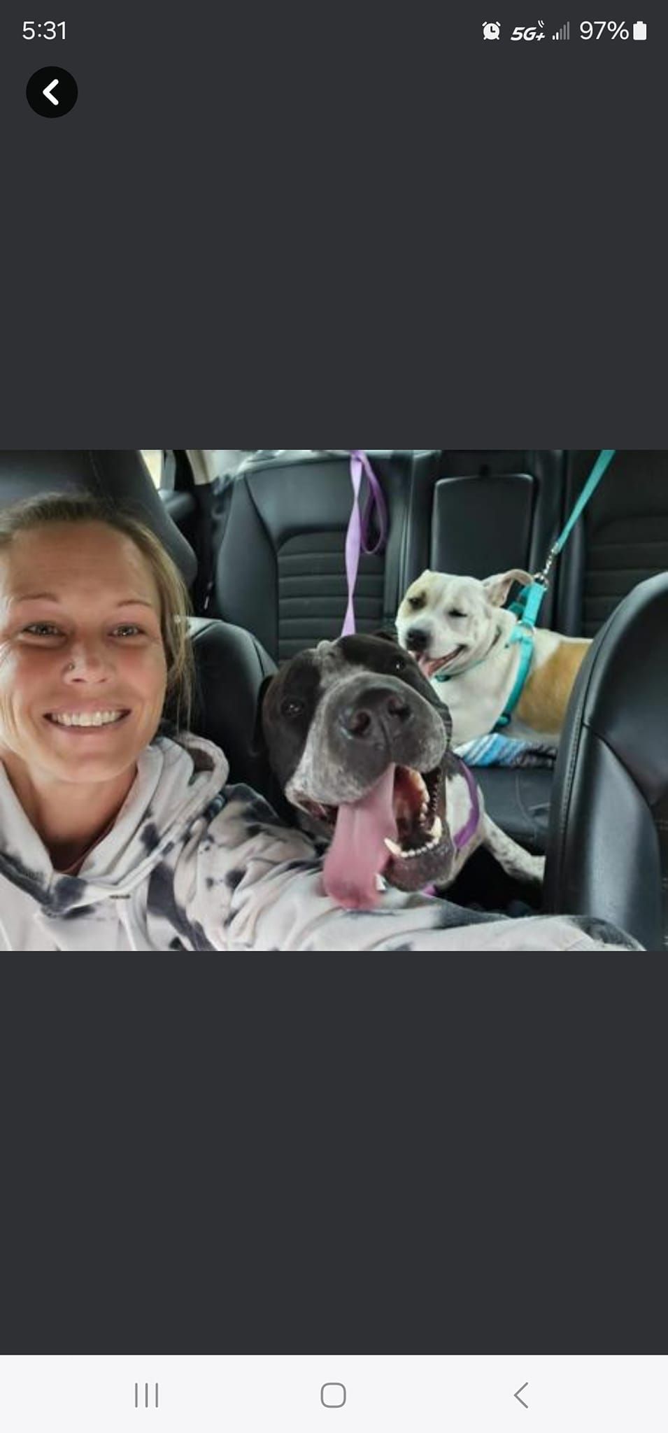 Ashley's Animal Haven Rescue and Sanctuary