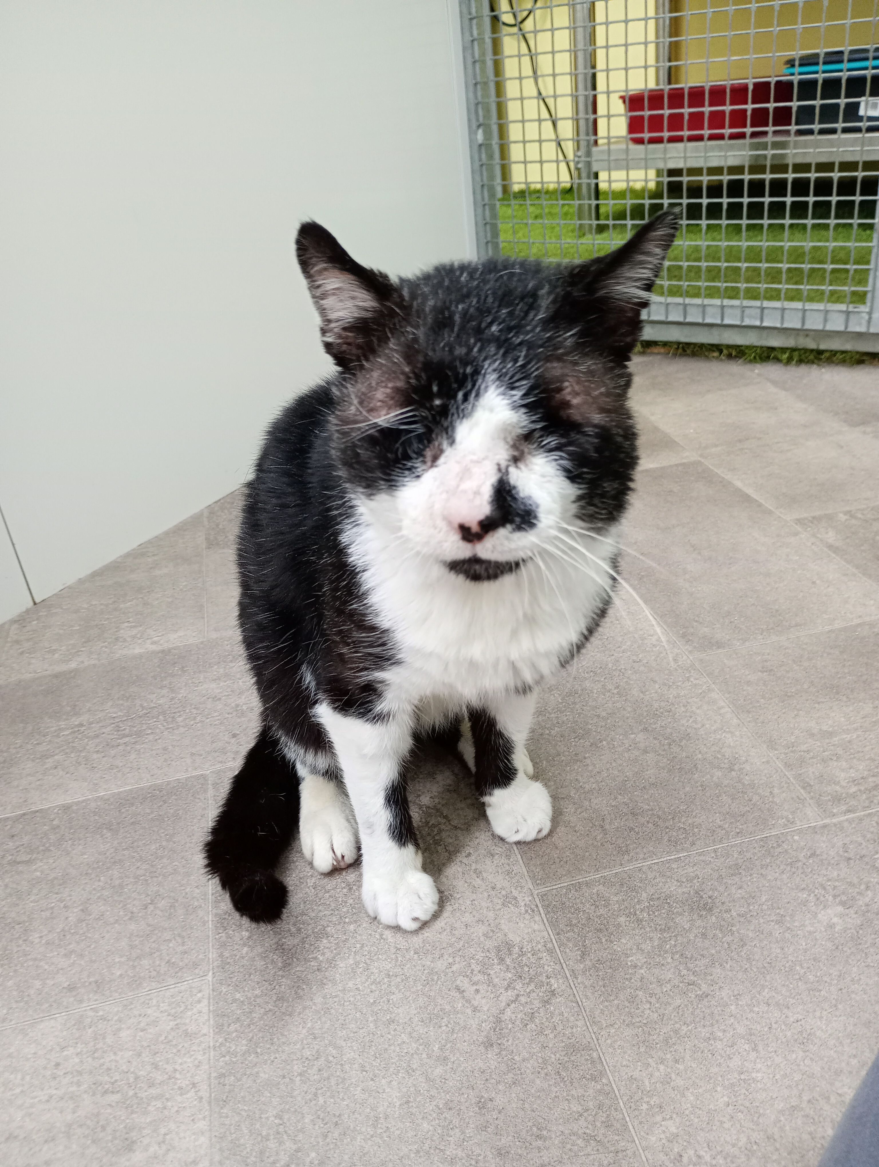 RSPCA East London and Havering Branch