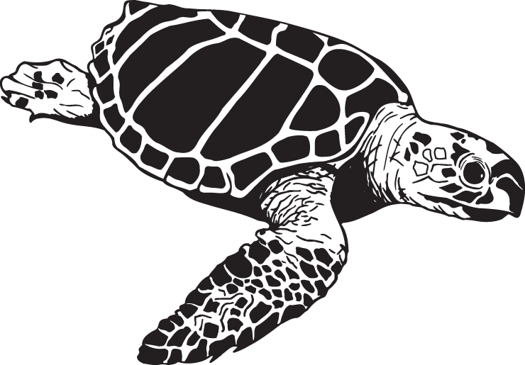 Loggerhead Marinelife Center