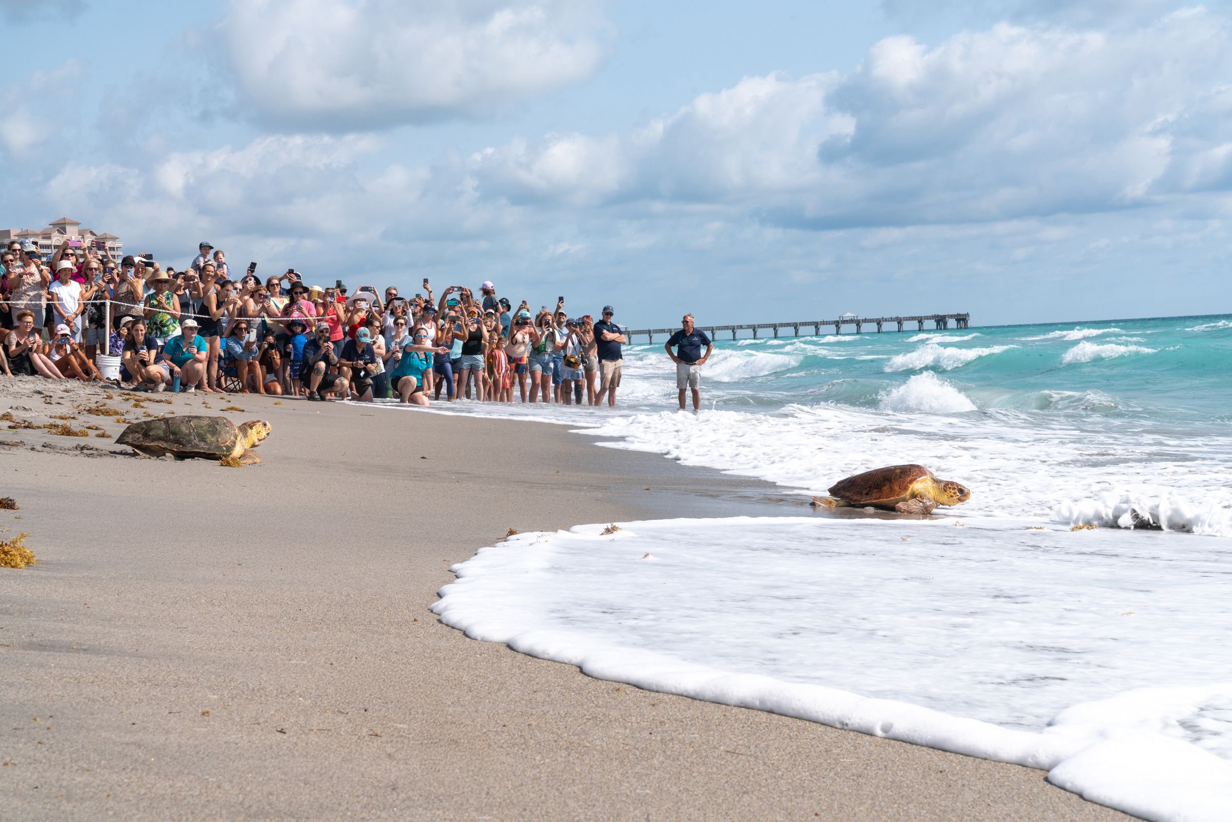 Loggerhead Marinelife Center