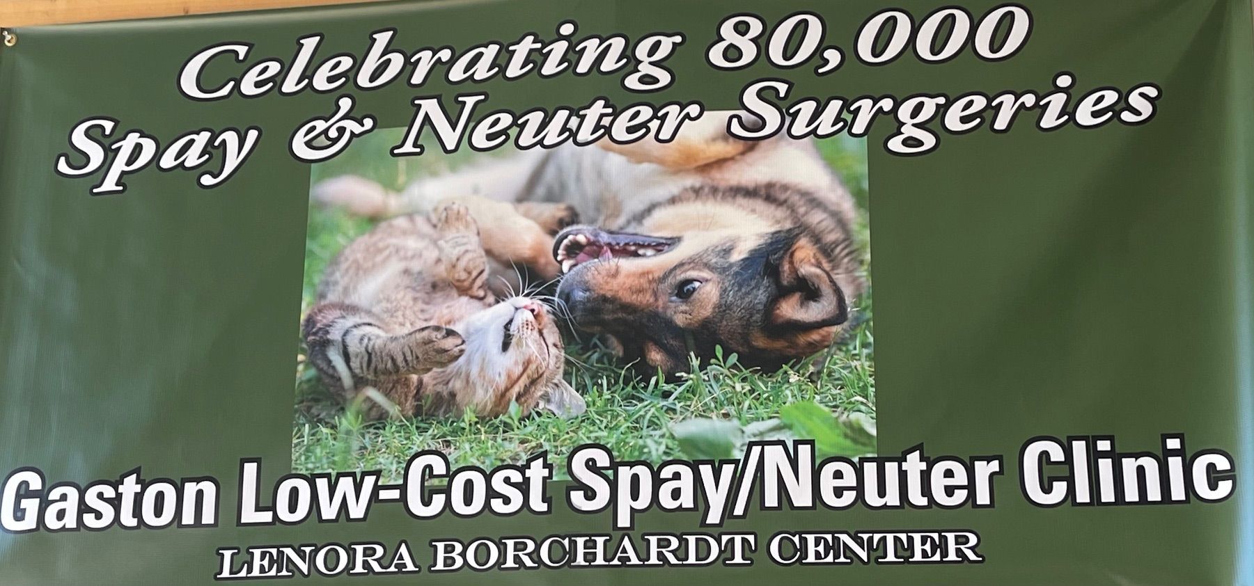 Low Cost Spay Neuter of Gastonia