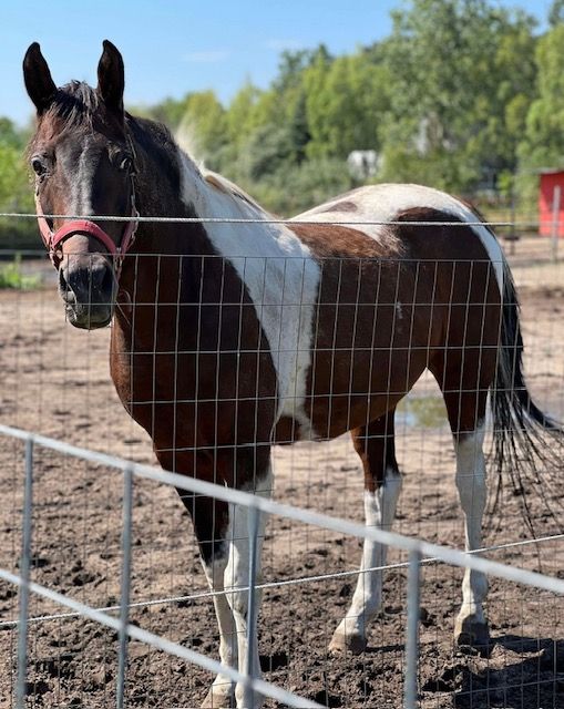 Healing Heart Farm Inc