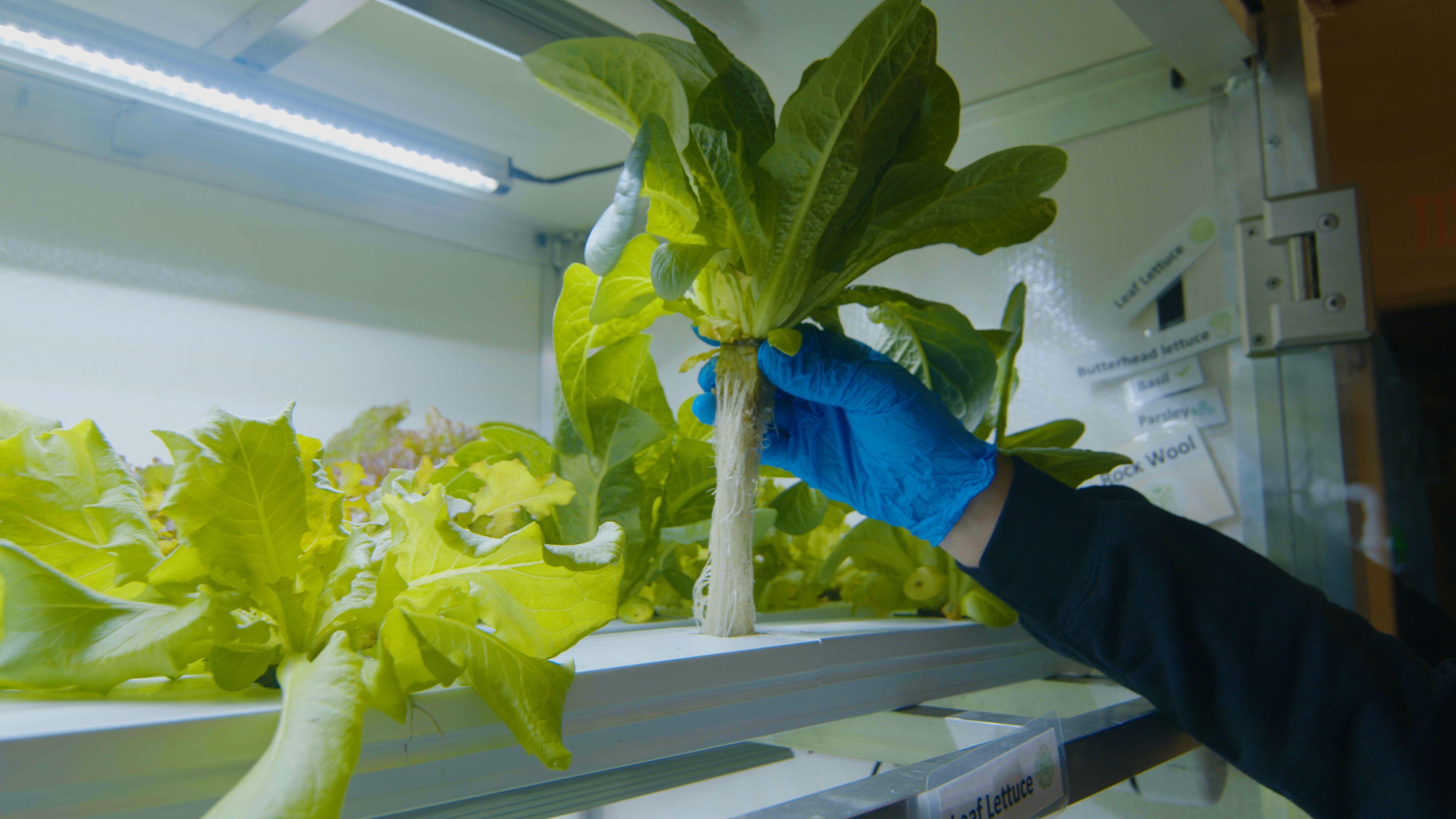 Churchill Northern Studies Centre