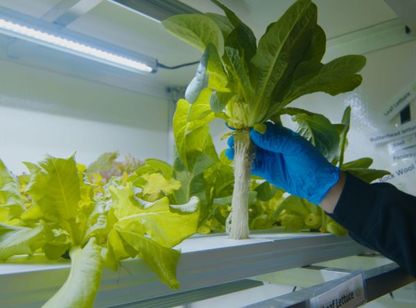 Churchill Northern Studies Centre