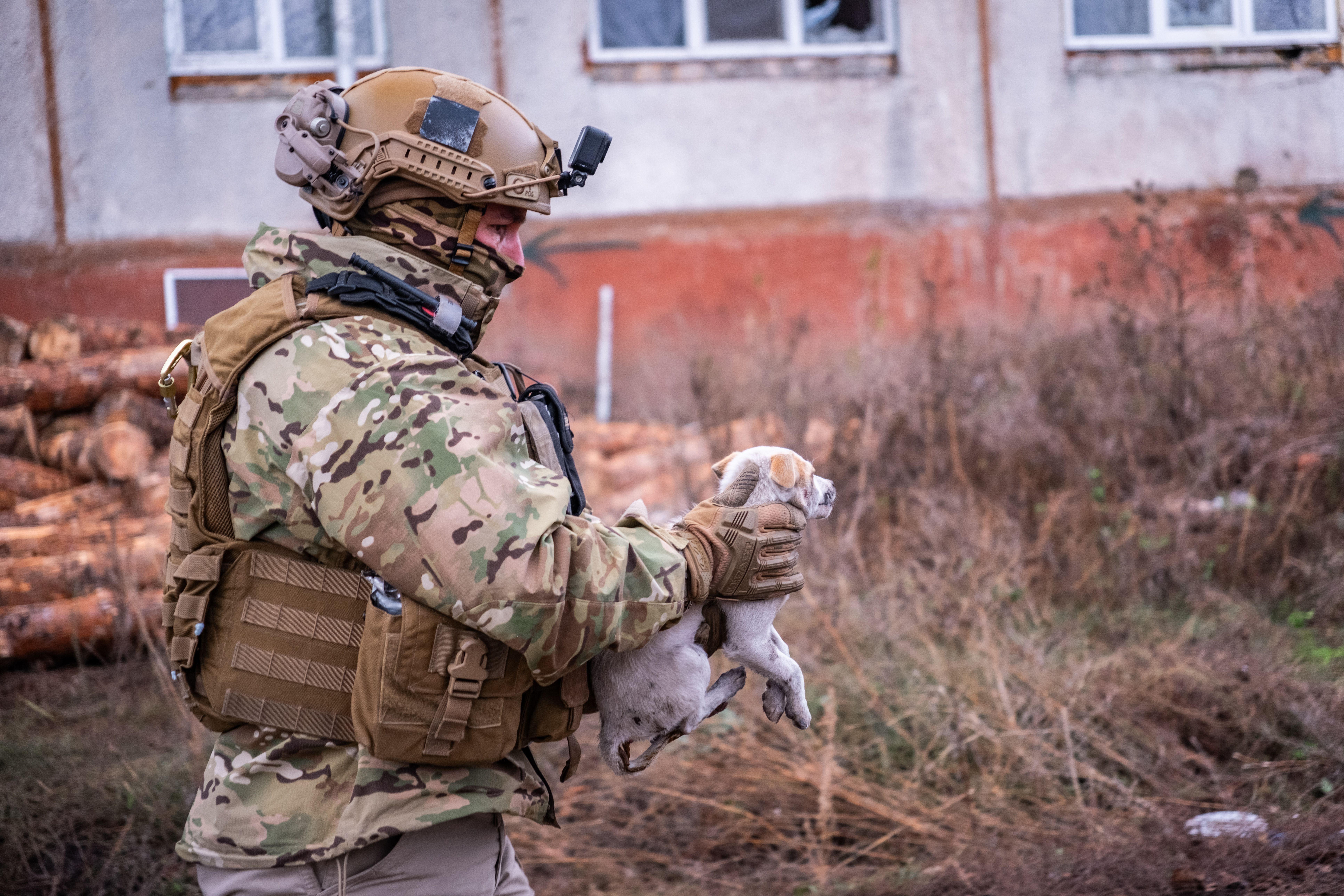 Global Animal Rescue And Response