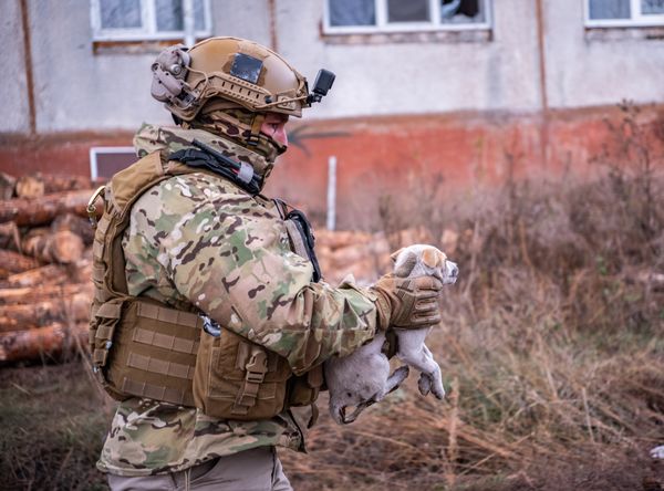 Global Animal Rescue And Response