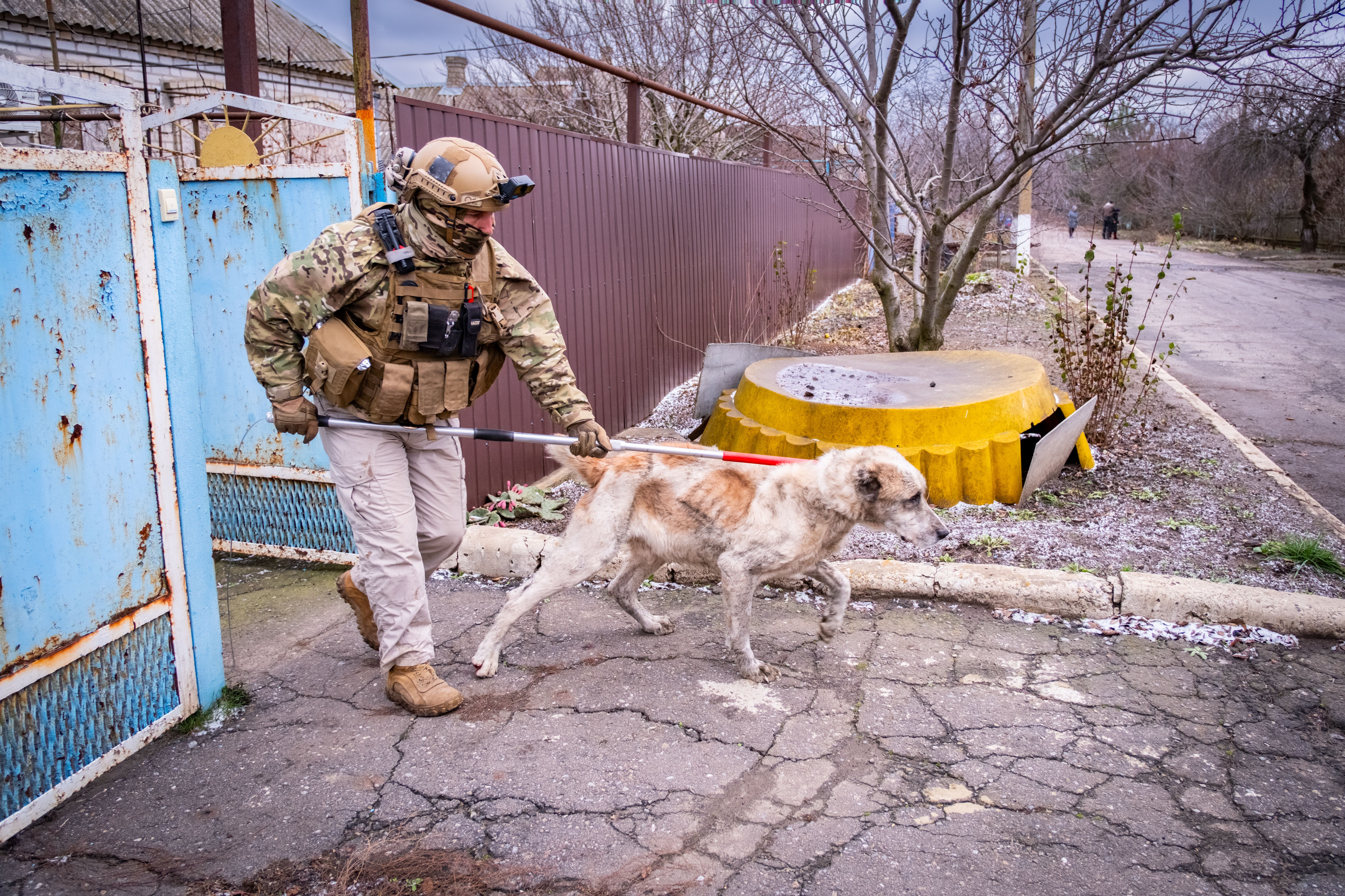 Global Animal Rescue And Response