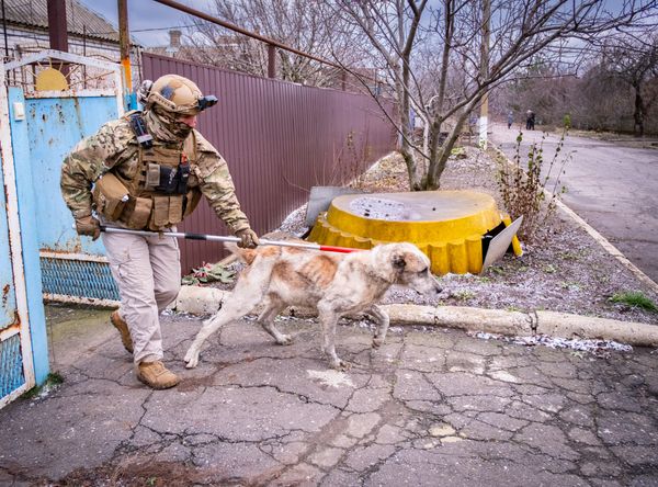 Global Animal Rescue And Response