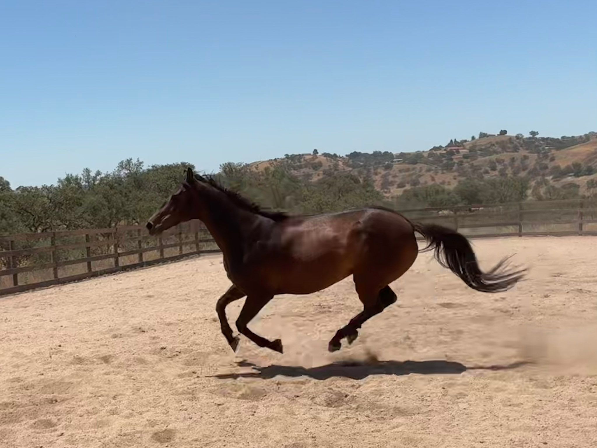 Fresh Start Thoroughbred Lifecare, Inc