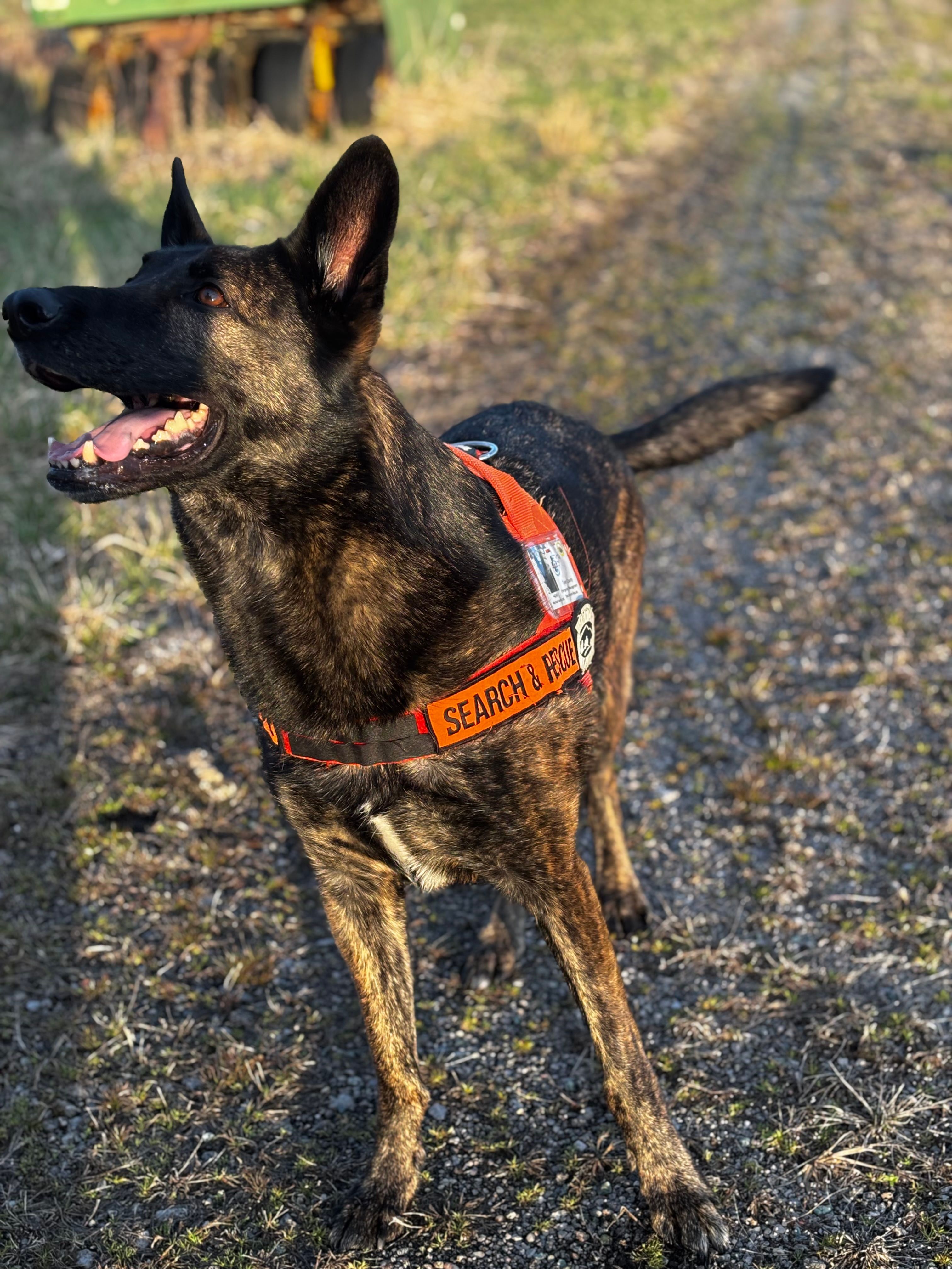 West Virginia K9 Search & Rescue, Inc.