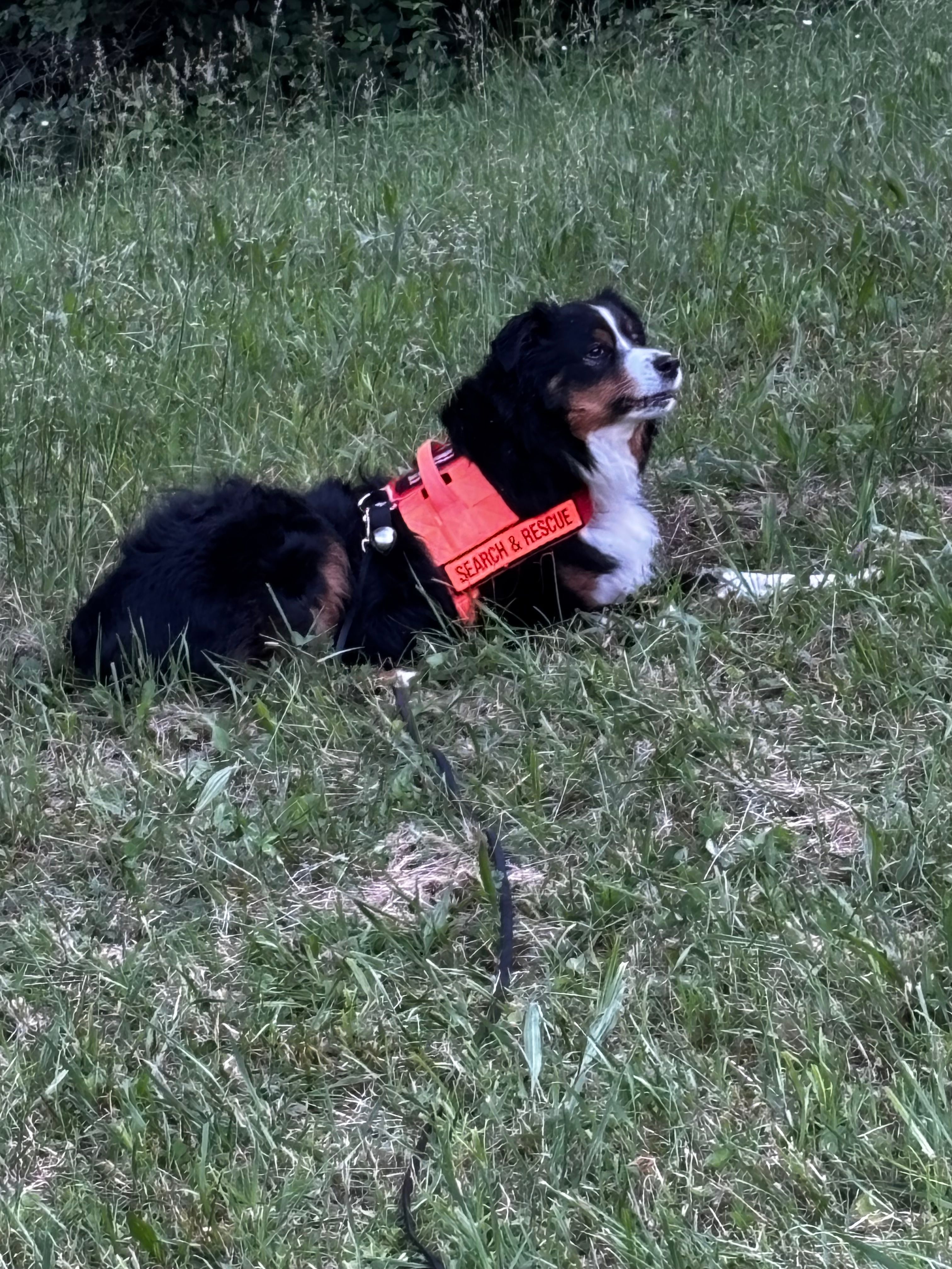 West Virginia K9 Search & Rescue, Inc.