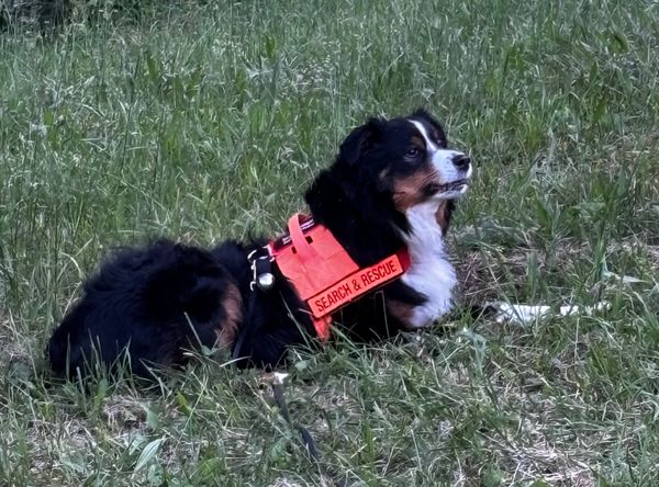 West Virginia K9 Search & Rescue, Inc.