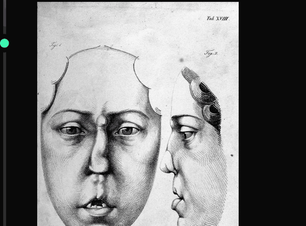 Auckland Medical Museum Trust Board