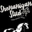 Shenanigan Stud Therapy Herd
