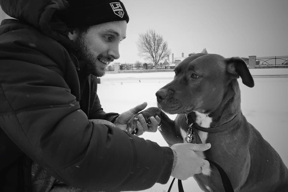 Strength of Shadow Dog Rescue