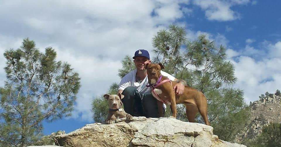 Strength of Shadow Dog Rescue