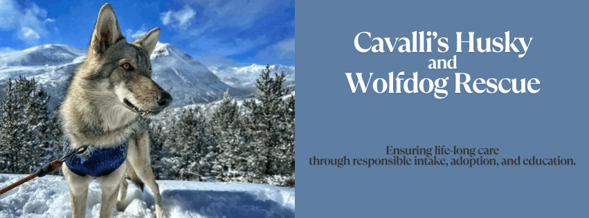 Cavalli's Husky and Wolfdog Rescue