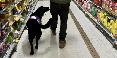 Endex Australia Limited