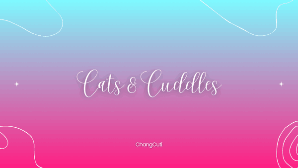 Cats & Cuddles