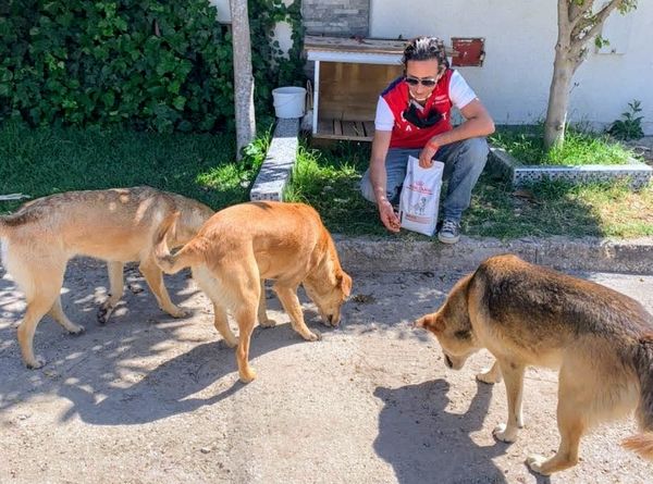 The Humane Society of Morocco