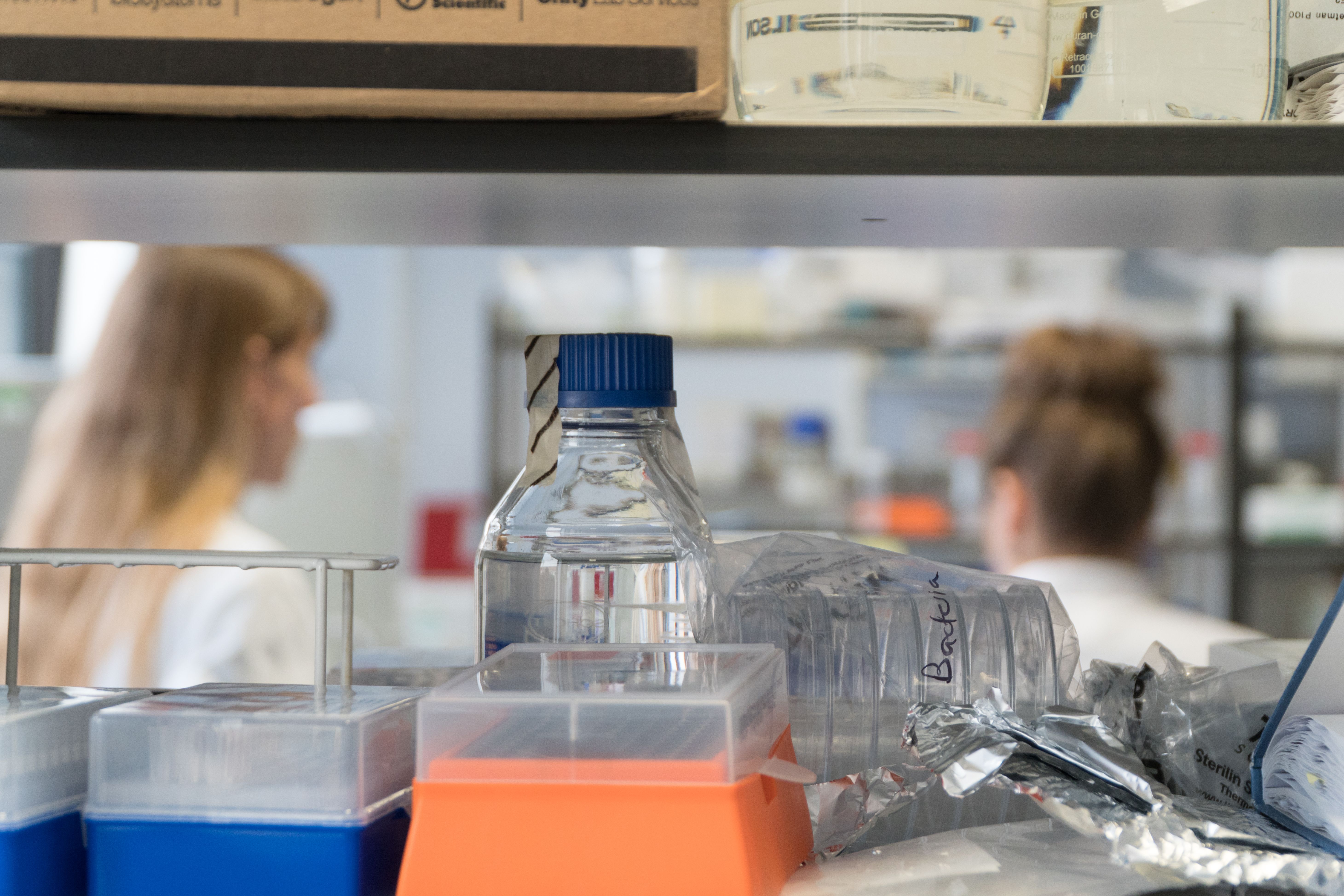 Replacing Animal Research