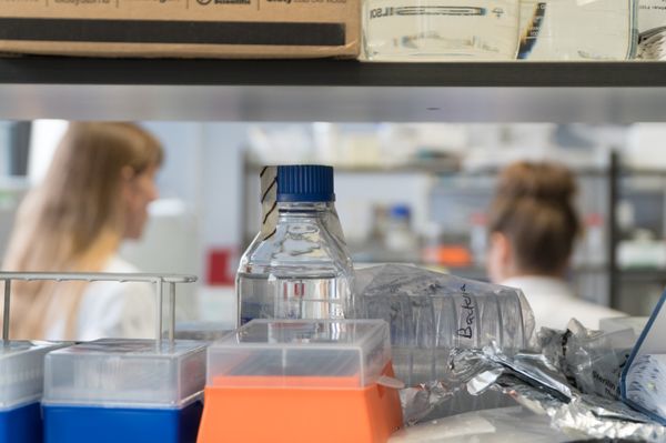 Replacing Animal Research