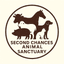 Second Chances Animal Sanctuary